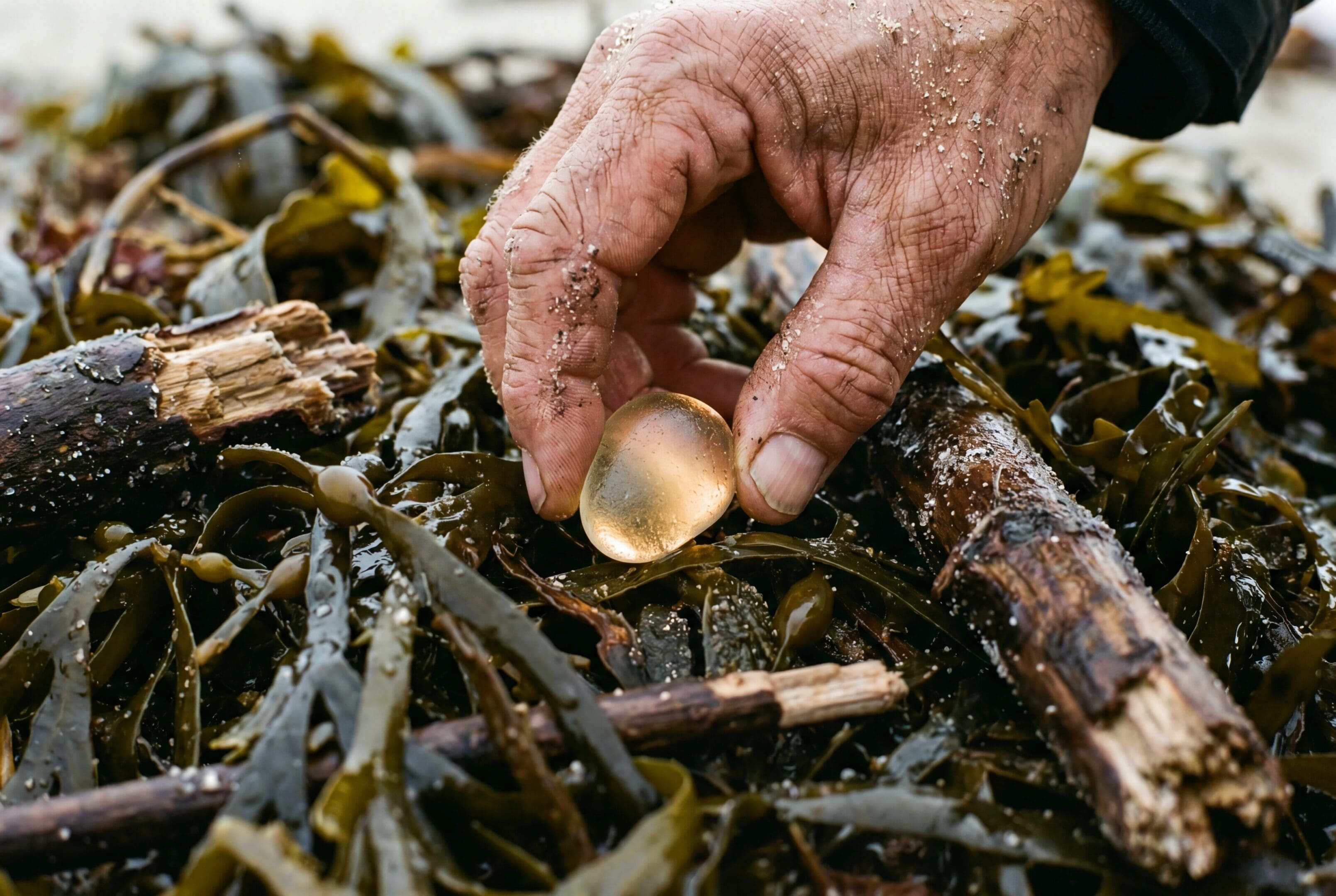 A close-up of a weathered hand picking a smooth, glowing amber stone from a pile of beach seaweed and driftwood. This visual metaphor represents finding real-world evidence and human judgment in healthcare AI data synthesis.